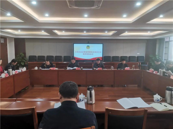 ЭũҵũίԱٿίԱ̸߽